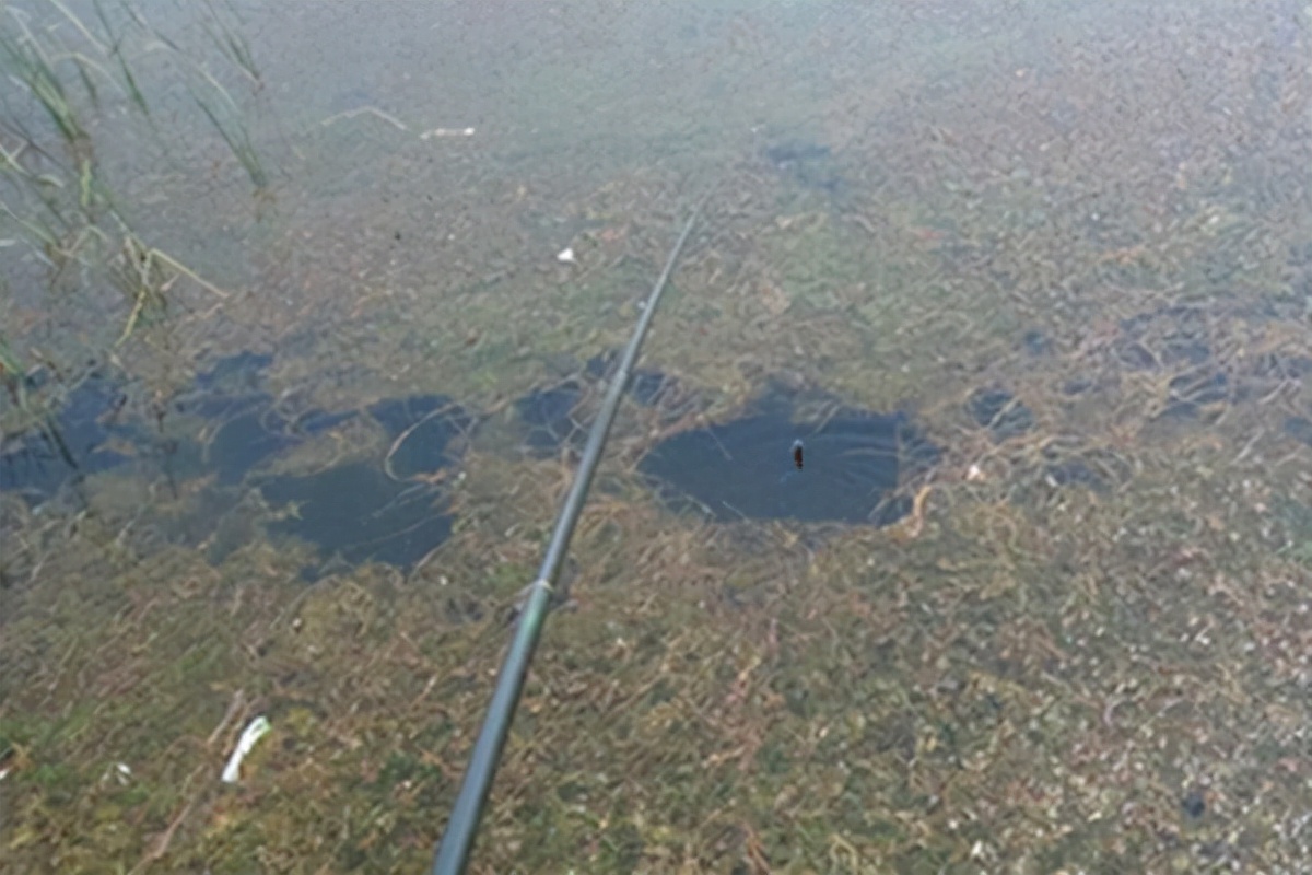 天气转凉钓鱼应该钓深还是钓浅,野钓选什么样强度的竿