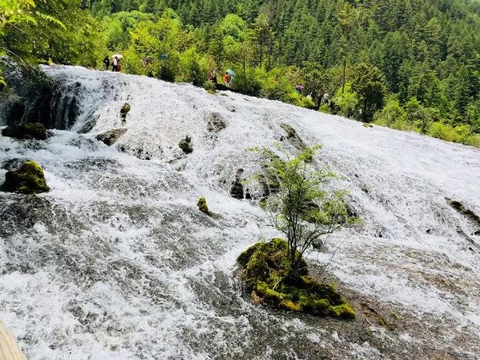 九寨沟景色恢复了吗,九寨沟震后重生