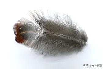 硬饵竿与软饵竿的区别,硬竿跟软竿的感度区别