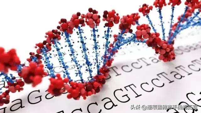 基因编辑最新研究进展,abcc11基因编辑研究进展