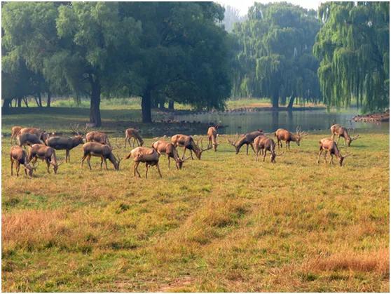 真实的新发地是什么,新发地到底是哪里