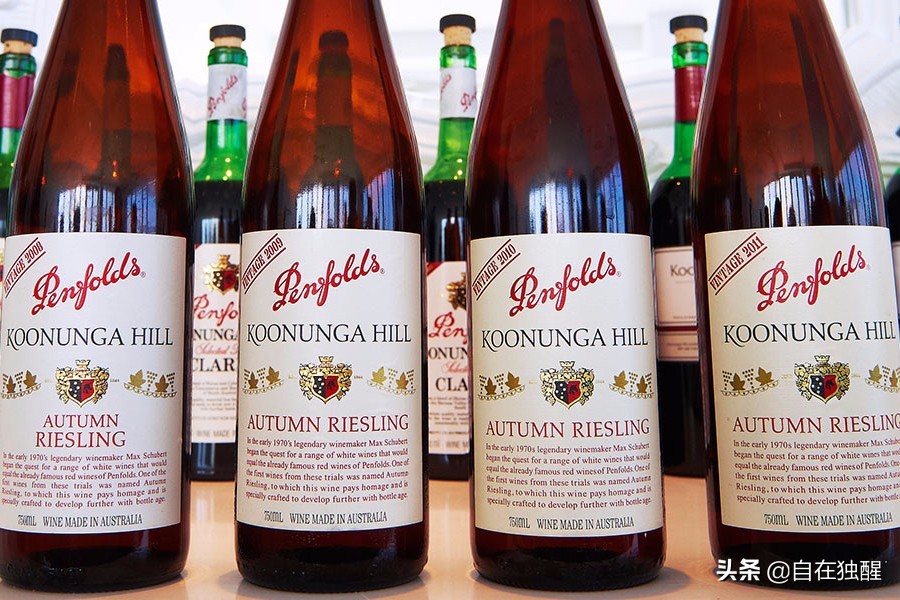 奔富128是什么酒多少钱一瓶,奔富酒系列大全图解