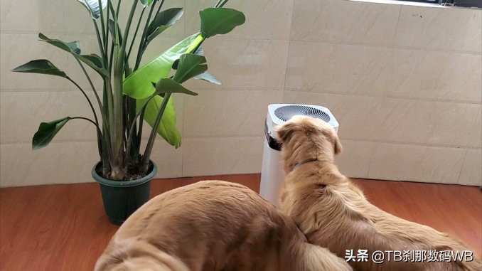 贝昂无耗材空气净化器kj800f-x7sm,贝昂空气净化器无二次污染