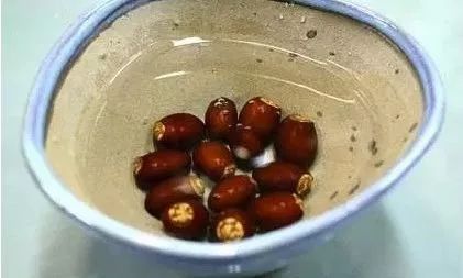 玉米棒子插水里，7天冒出小森林