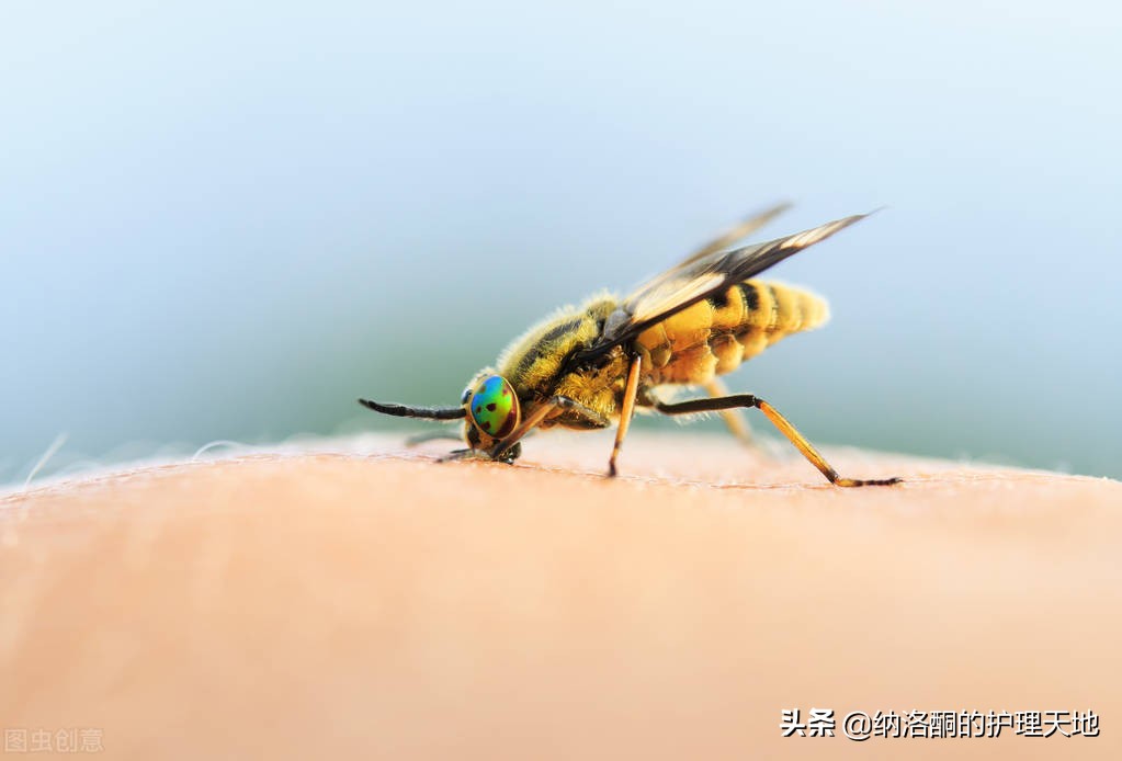 被牛虻咬了有什么小妙招止痛,被牛虻咬了怎么处理消肿最快