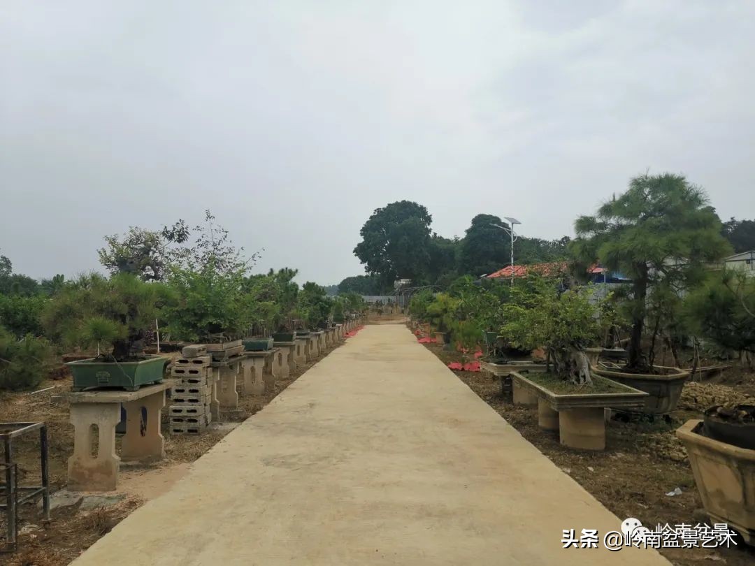 绿色金融业务发展好的银行,绿色银行的前景