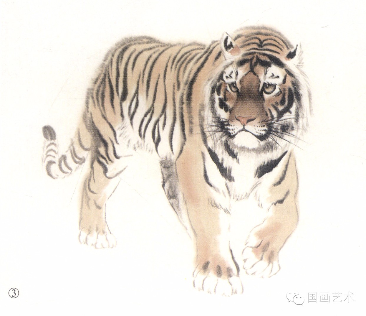 写意画虎教程,写意虎的十种方法