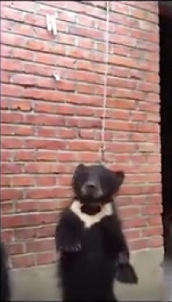 被铁链拴住的一生,被铁链绑住全身后逃脱