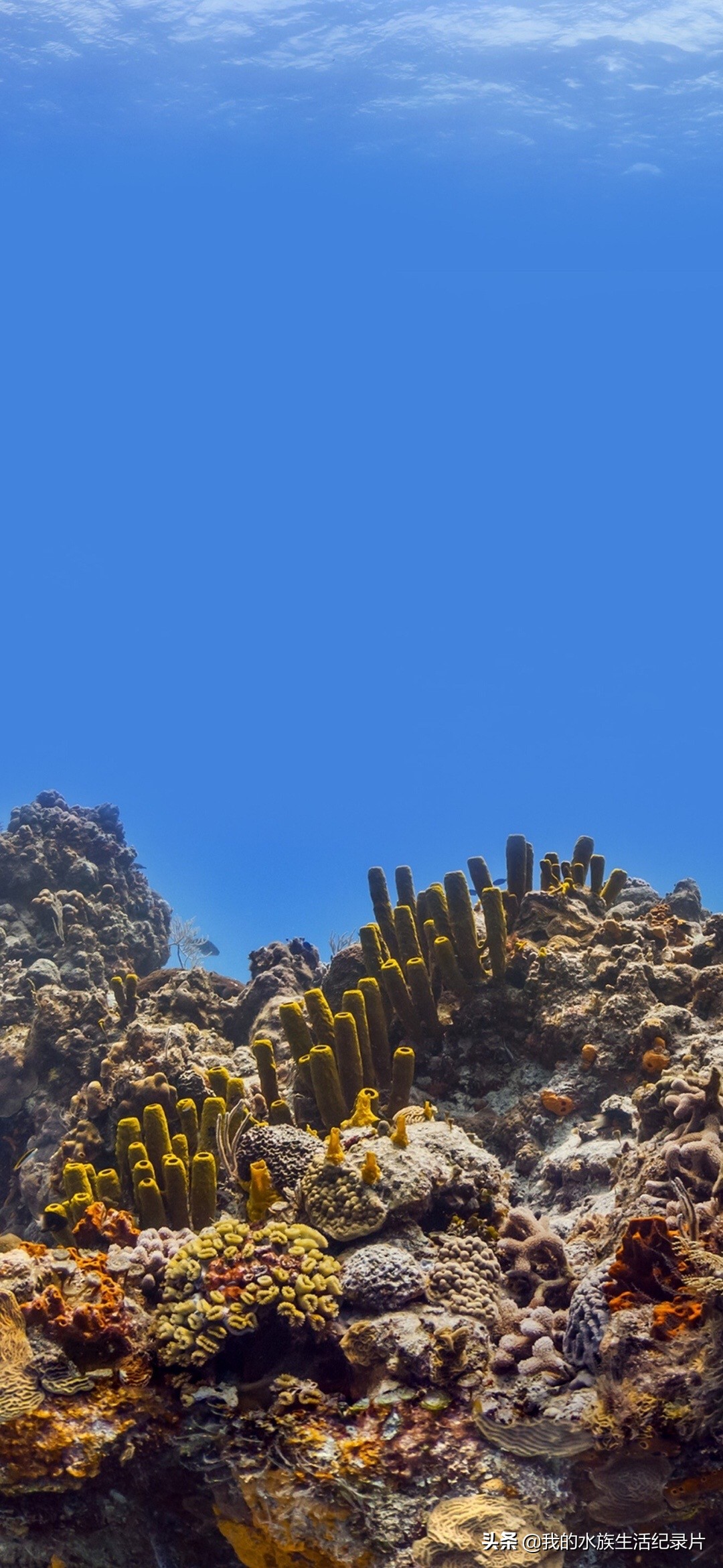 超高清海洋沙滩风景壁纸全屏,壁纸分享特别的海洋壁纸