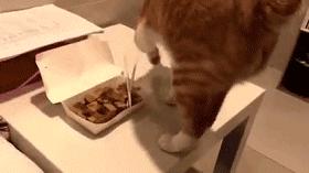 日本小哥吃零食,日本小哥吃垃圾食品