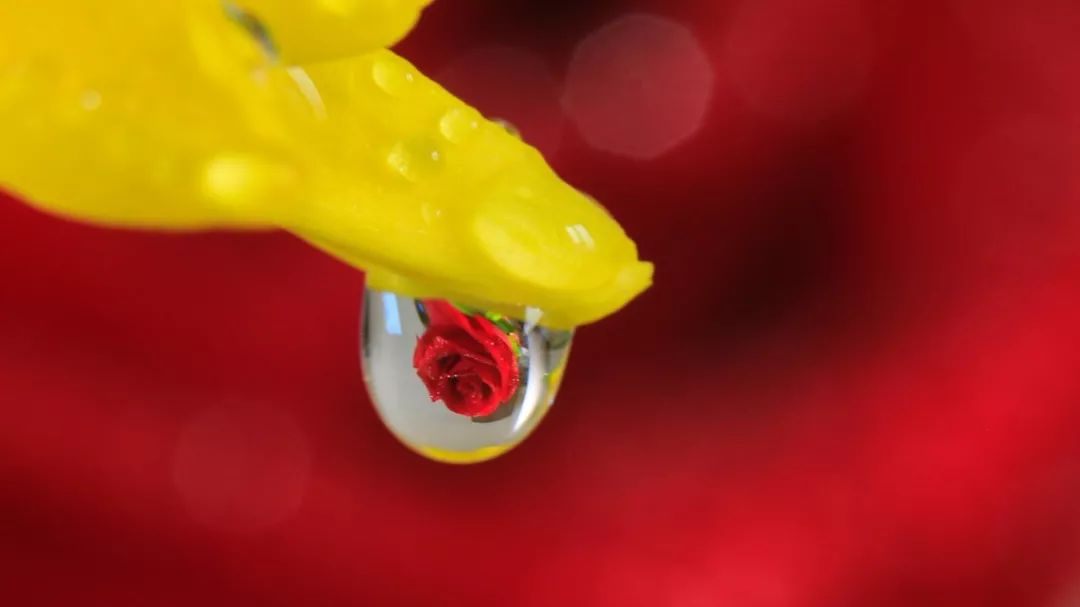 70-200f4能拍啥,70200套件安装视频