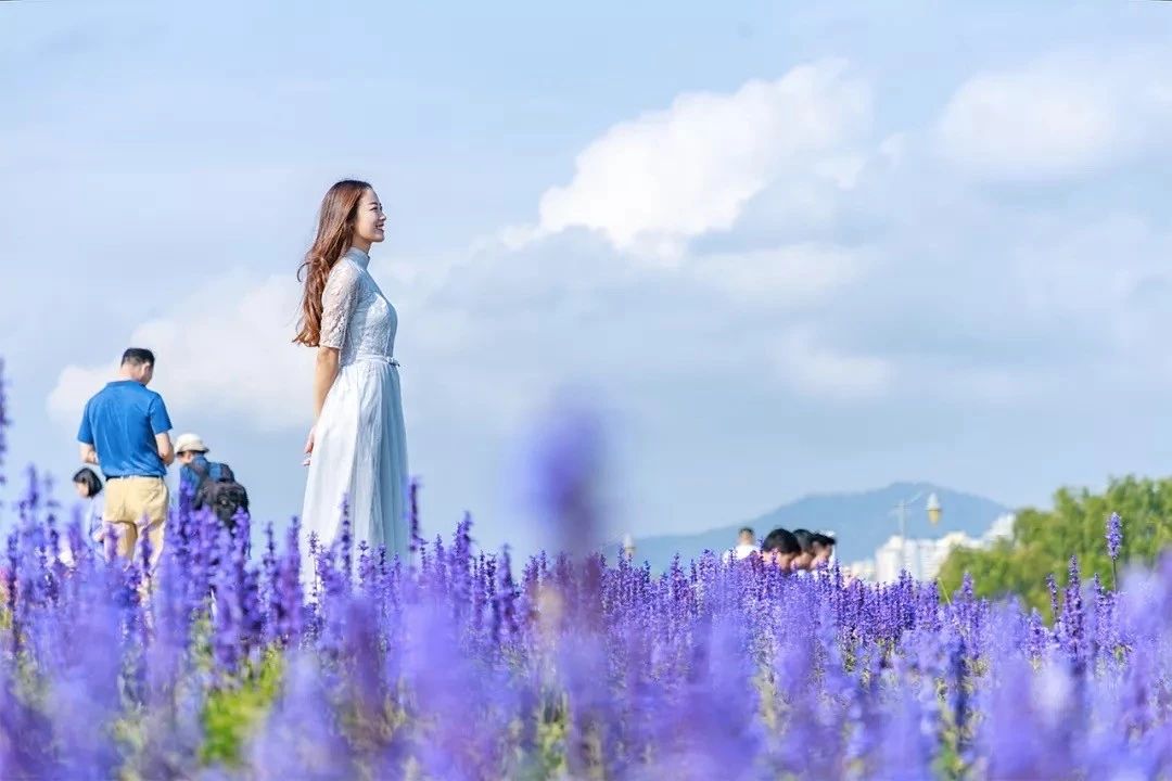 深圳最适合亲子游的好去处,深圳周末家庭游玩好去处