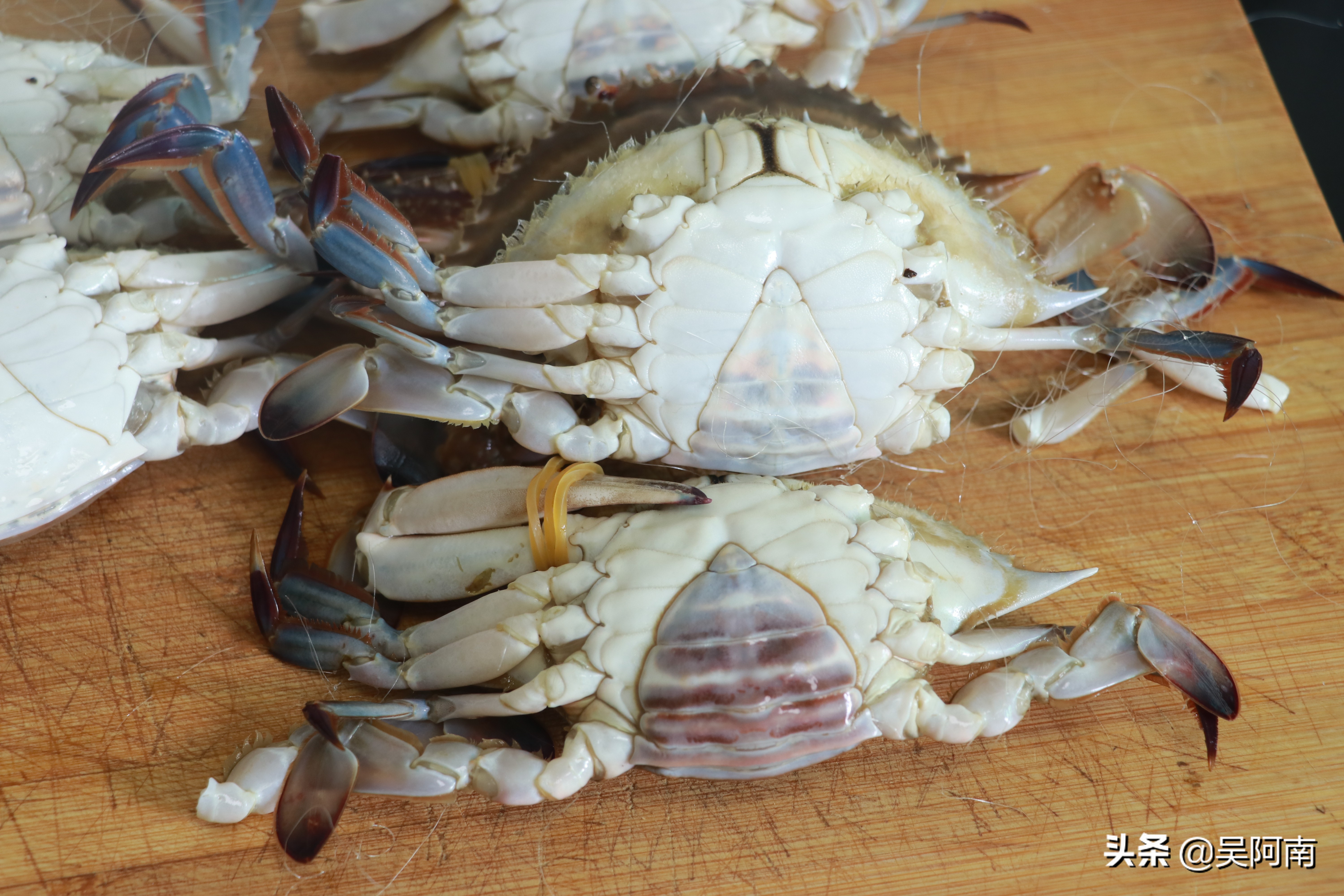 什么时候的螃蟹最肥美,教你挑选螃蟹的8个技巧