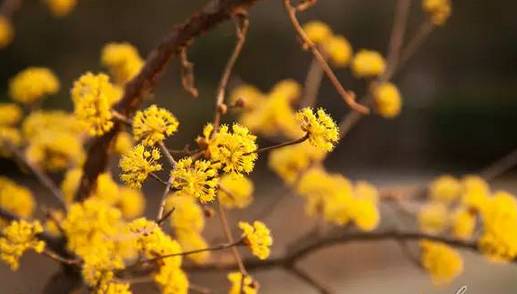 晋城司徒小镇异域风情,晋城皇城相府和司徒小镇