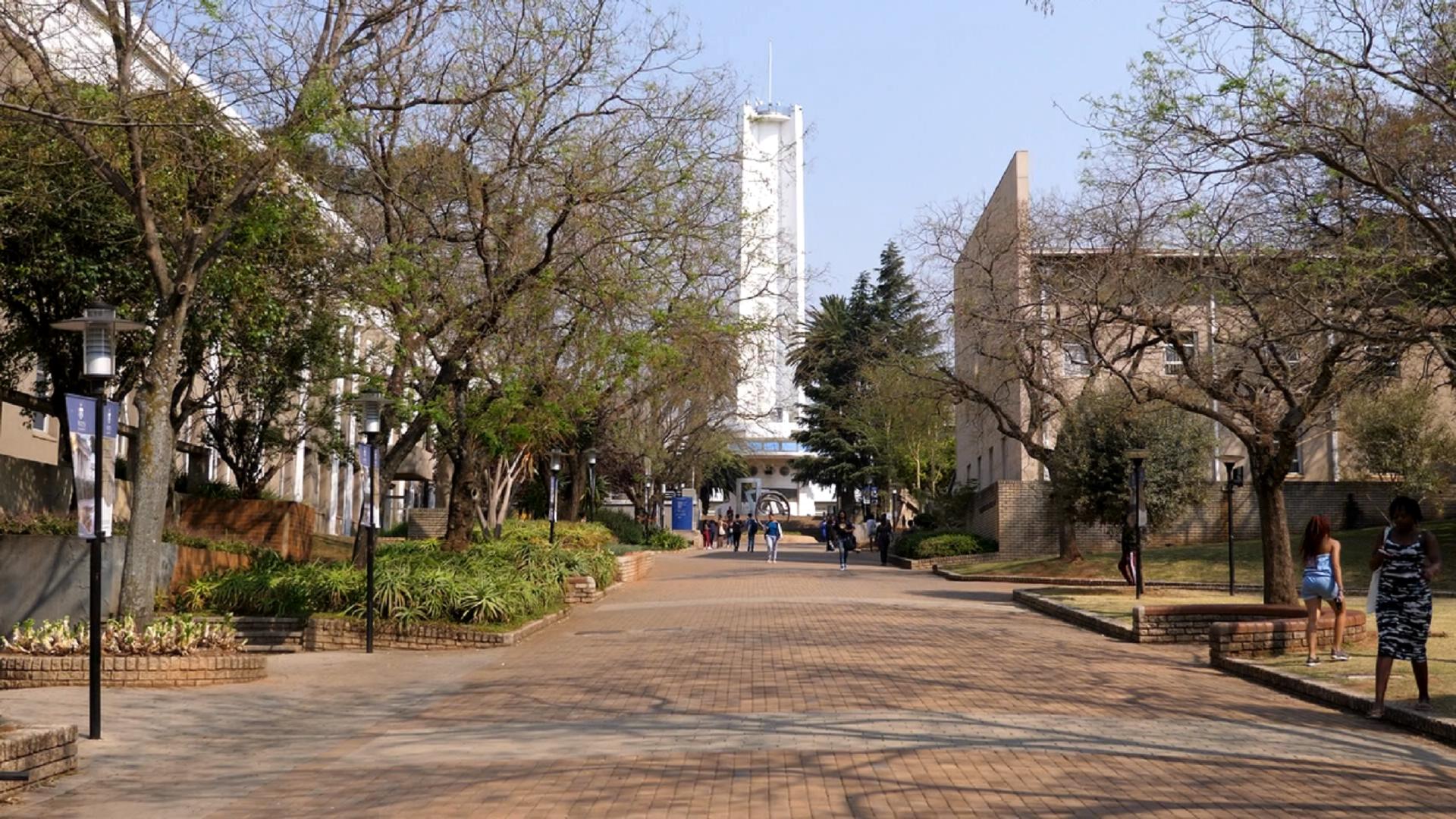 非洲城市犯罪率世界第一,中国留学生却激增,冒生命危险为什么?