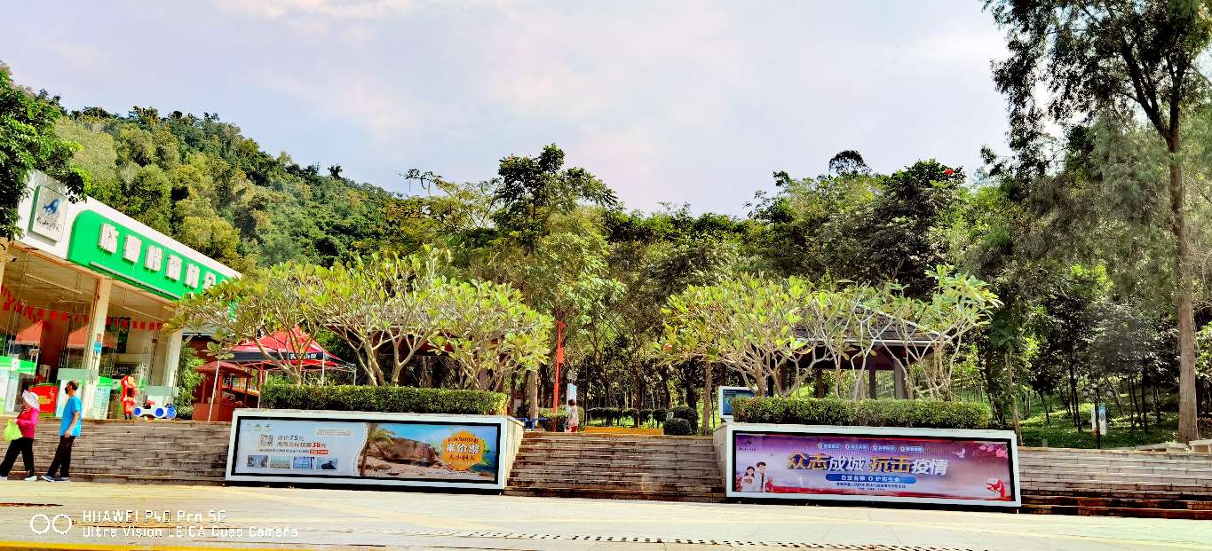 三亚地标性建筑美丽之冠大松树,三亚美丽之冠