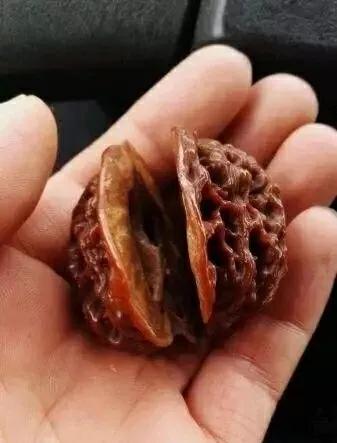 文玩核桃尾鳍开裂,文玩核桃为什么会开裂