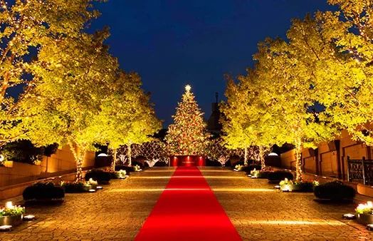 2019圣诞灯展,2019圣诞灯光秀