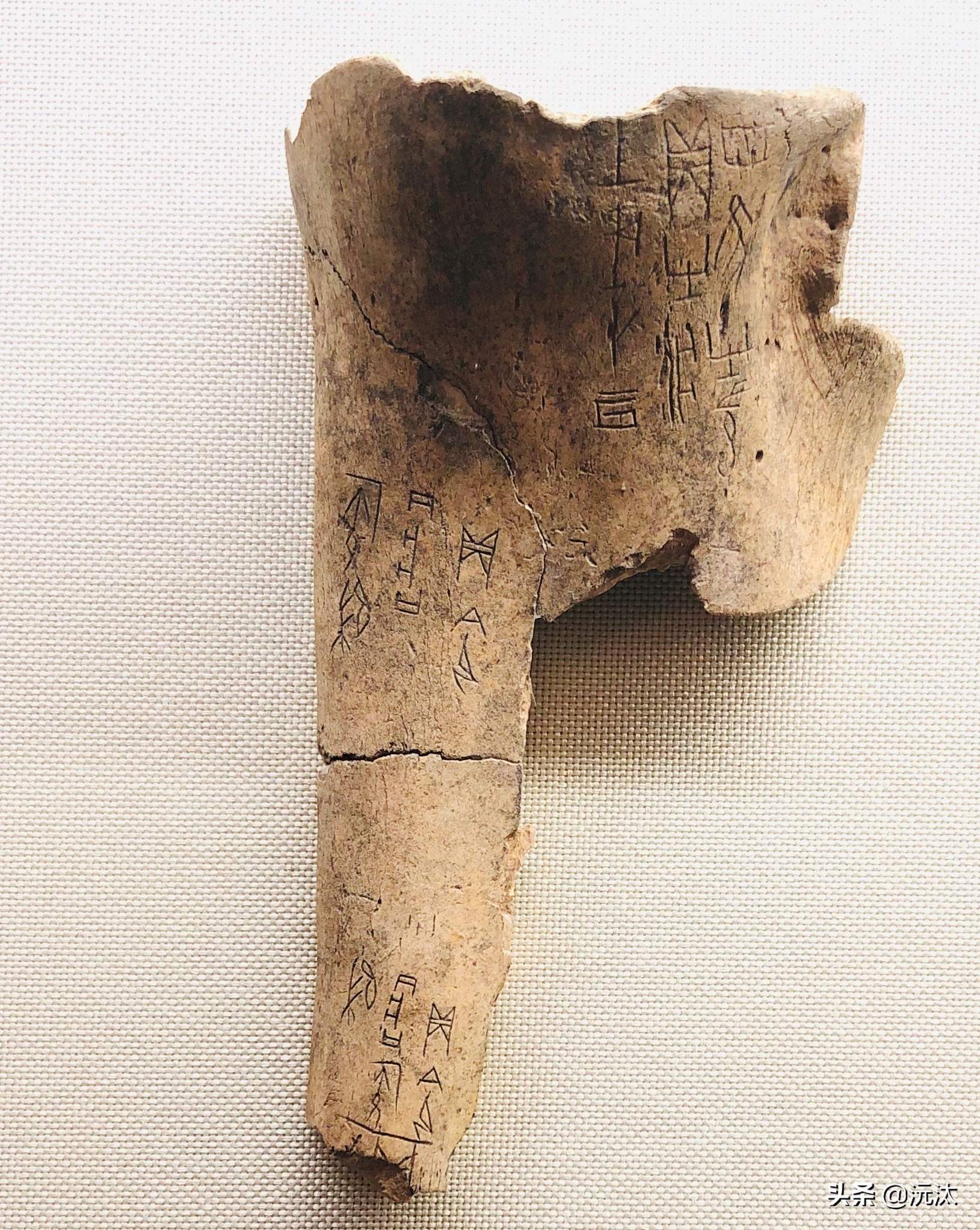 妇好的老公商王生病了会如何治疗？第一是祭祀，还有更先进的技术