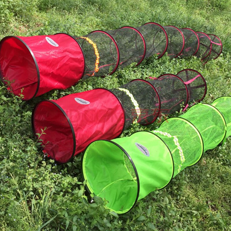 零基础钓鱼入门基本知识和装备,新手钓鱼入门基本知识零基础