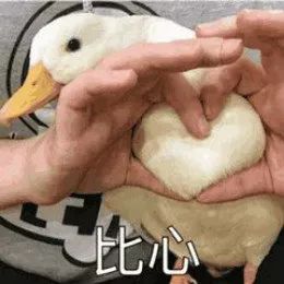 300块钱当30块钱花,大牌护肤品的平价替代品