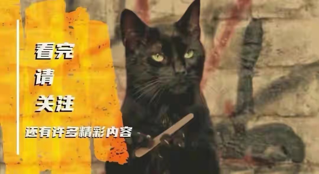 大齿猛蚁捕食,最大的大齿猛蚁是哪种