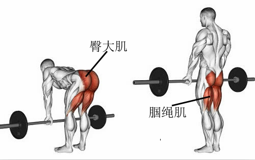 超膝伸肌肉腿怎么矫正,膝超伸和o型腿怎么改善