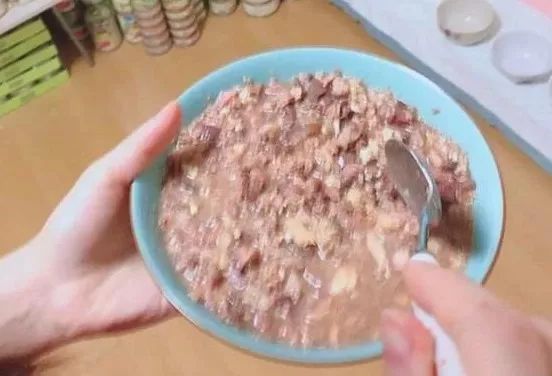 猫窝倒扣闷死猫事件,猫窝导致宠物窒息