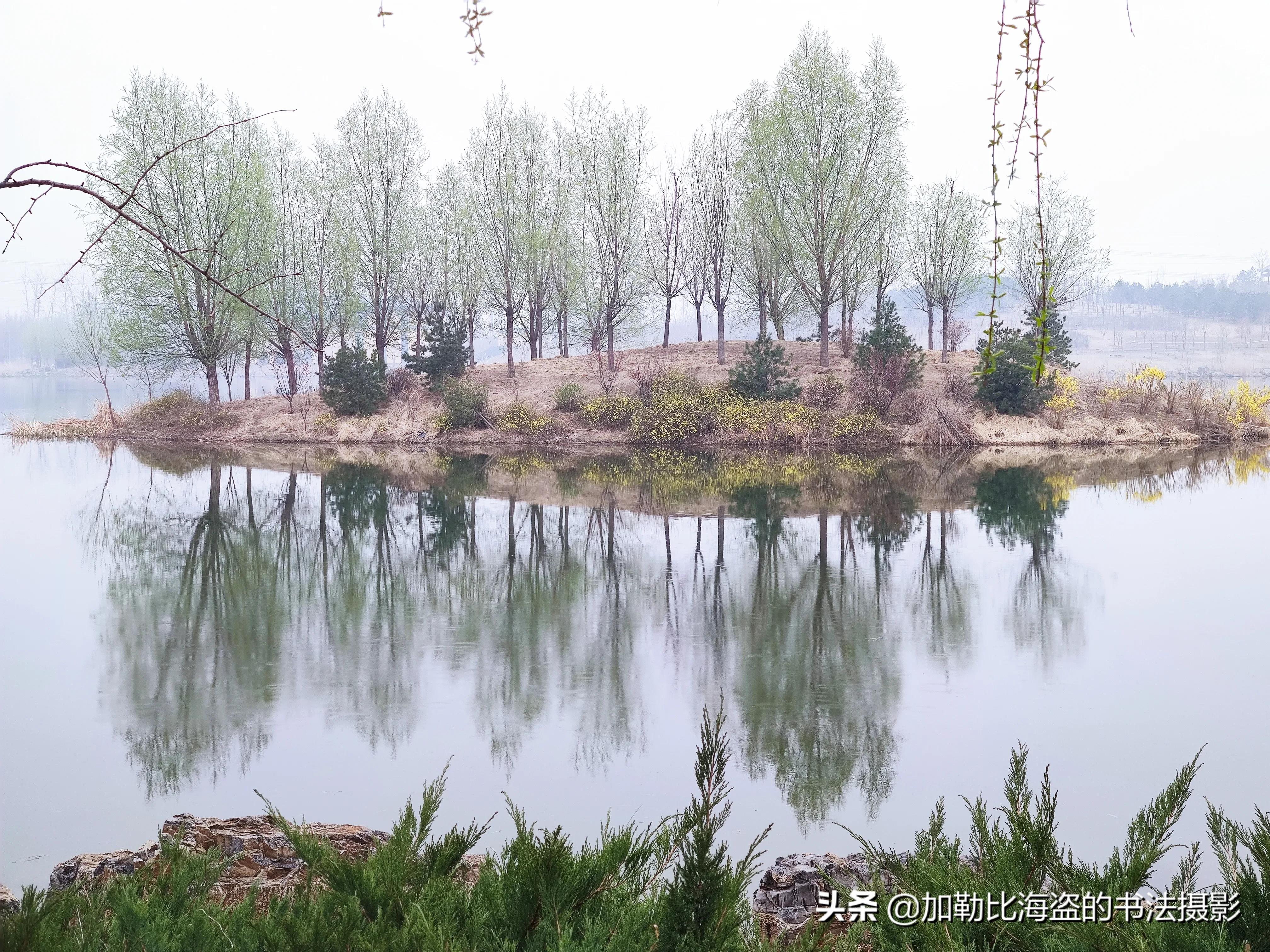 如何在公园里拍出氛围感照片,公园摄影怎么拍出高级感