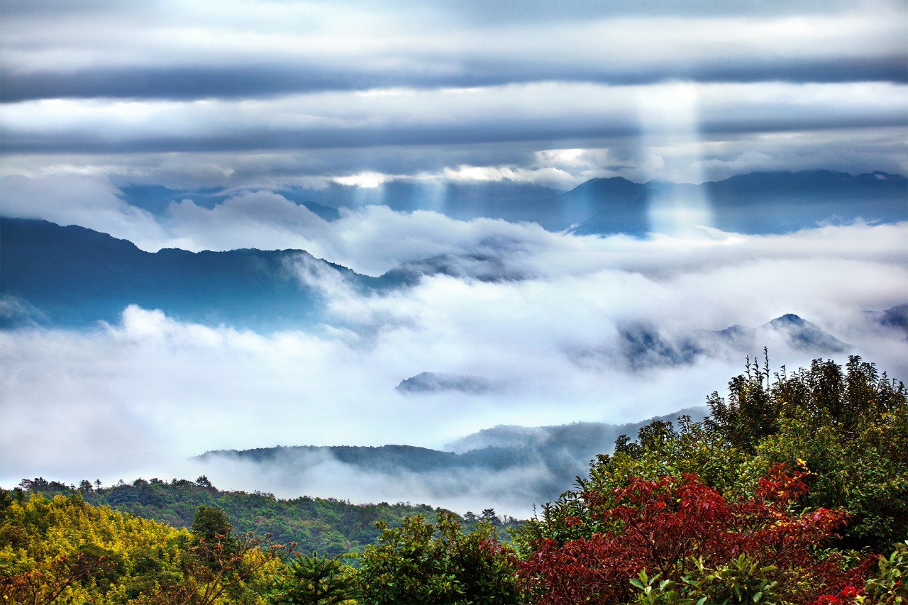 世界客都家乡梅州,梅州为什么被称为世界客都