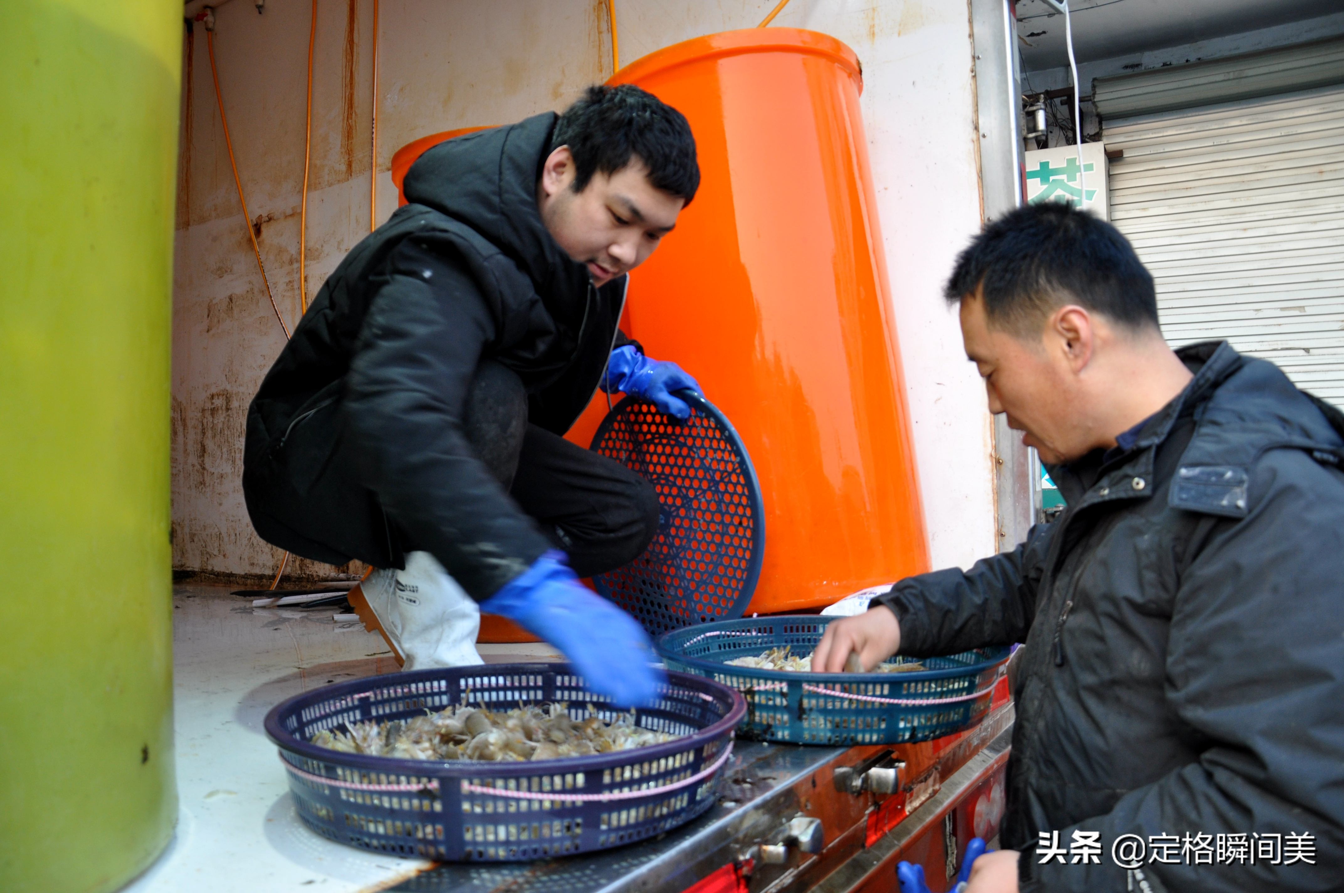 青岛批发市场海虾,青岛早市海虾