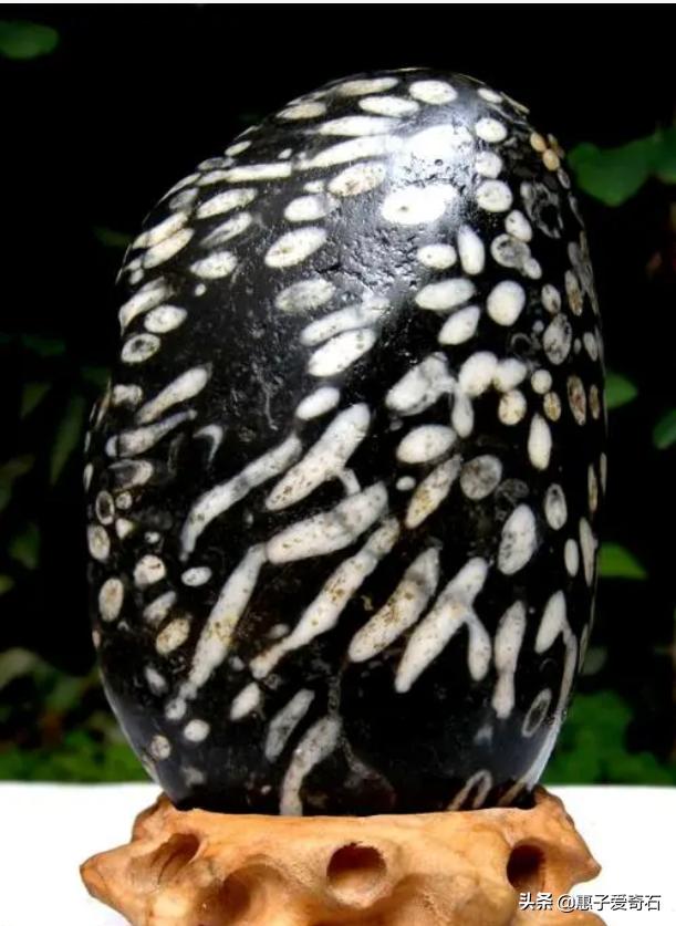 甘肃奇石玉石大全,甘肃奇石大全