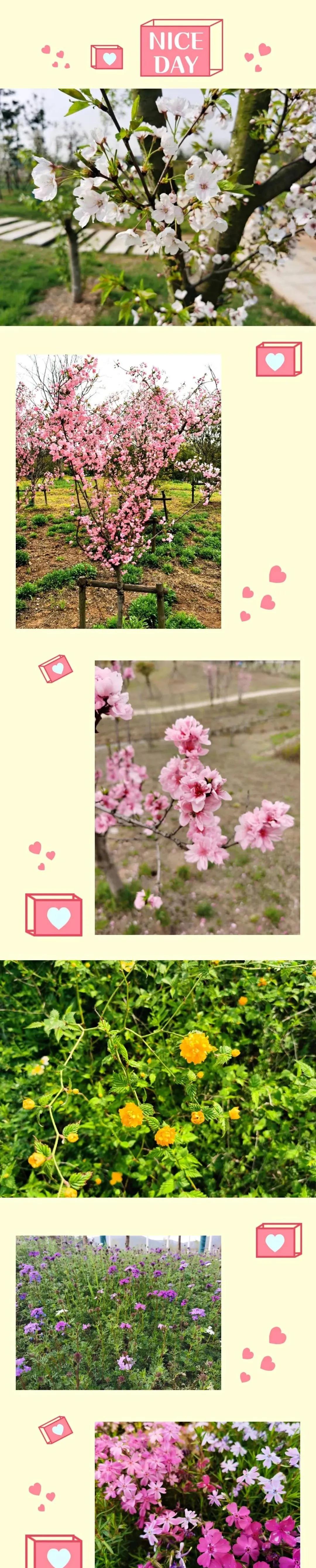 浦口区免费的公园景点,浦口宝藏地点