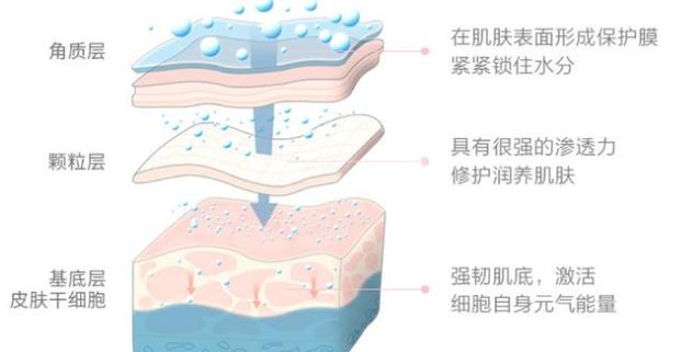 林志颖晒出Kim用的面霜，屈臣氏“销量之王”，比青蛙王子还好用
