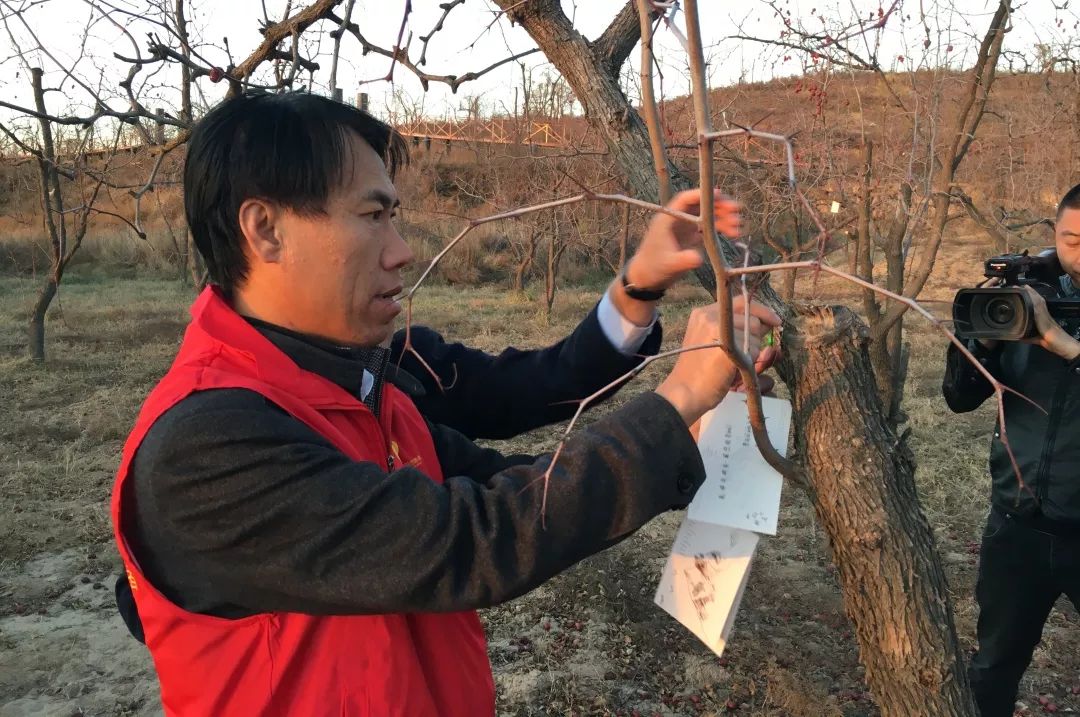 小西湖碧桂园足球赛,碧桂园学校足球赛