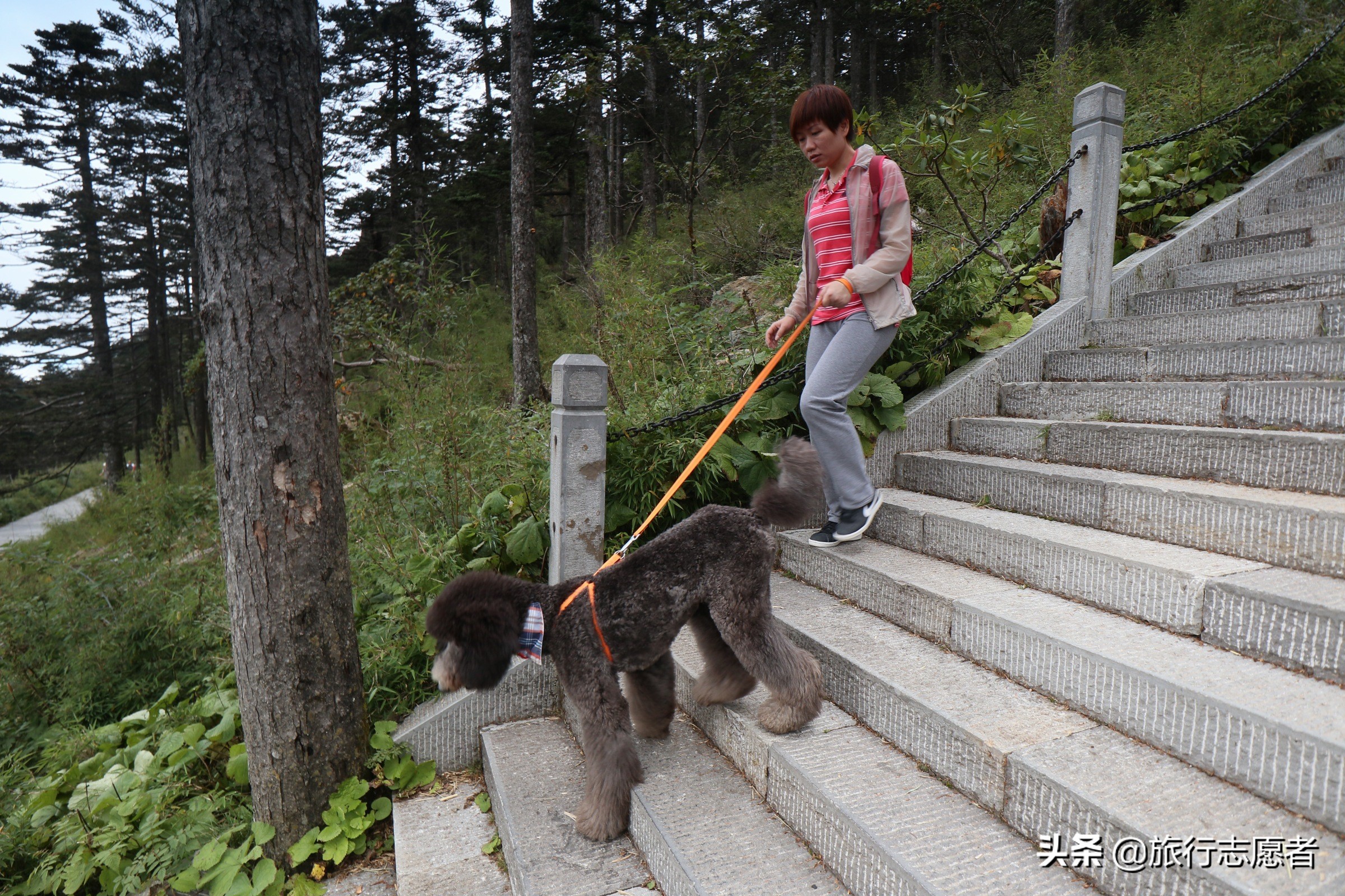 2023神农架滑雪旅游攻略,神农架旅游攻略两日游推荐