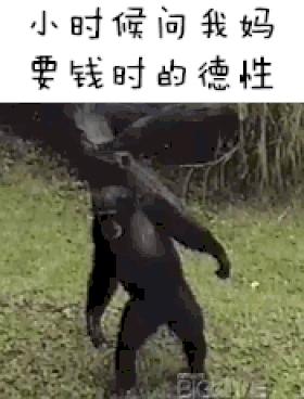 粤语在全国有多受欢迎,说粤语的有哪些国家