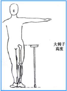 如何选择康复支具,十种常见的康复辅助器具