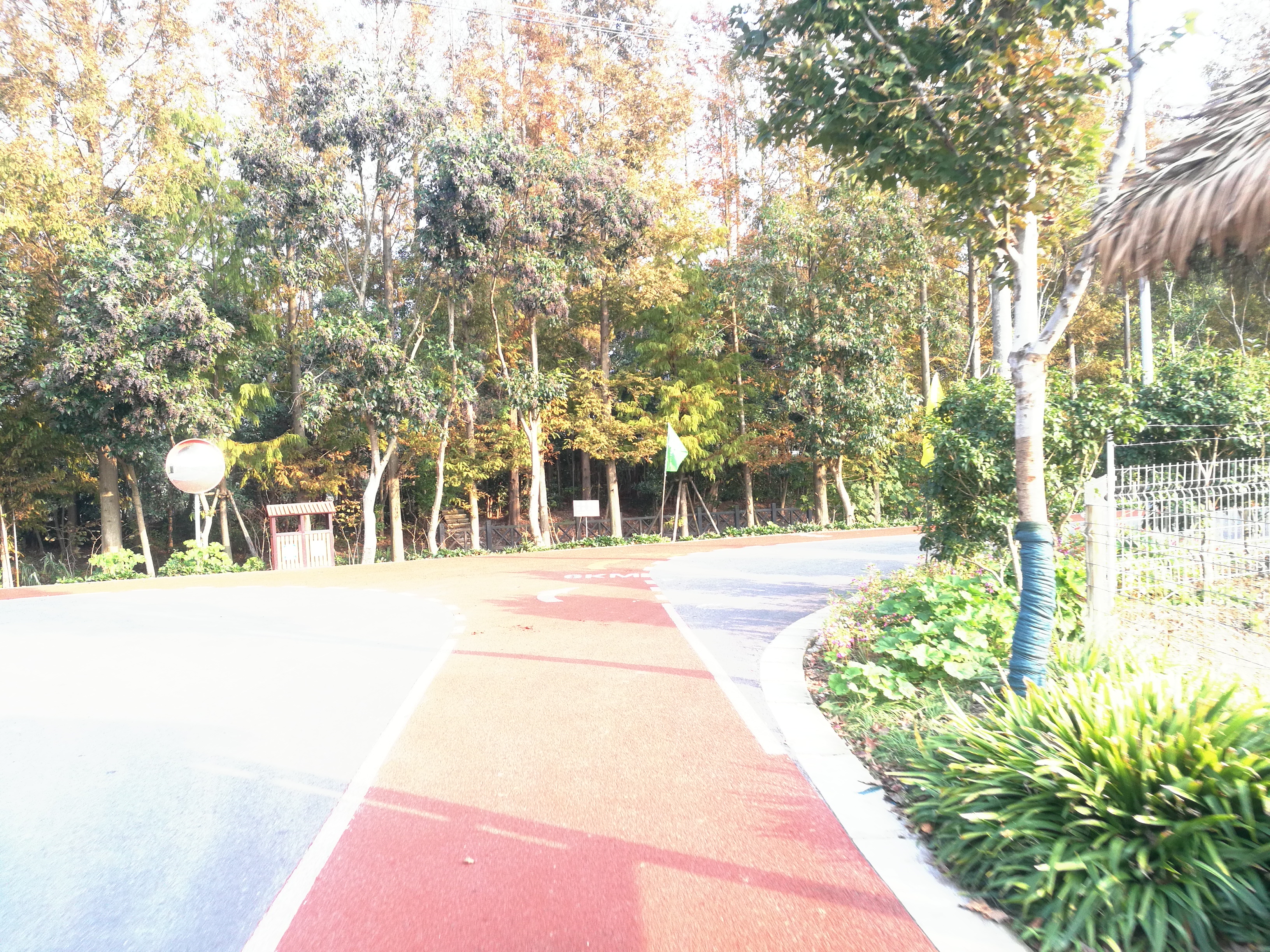 上海长兴岛郊野公园可以看见海吗,长兴岛郊野公园离上海站有几公里