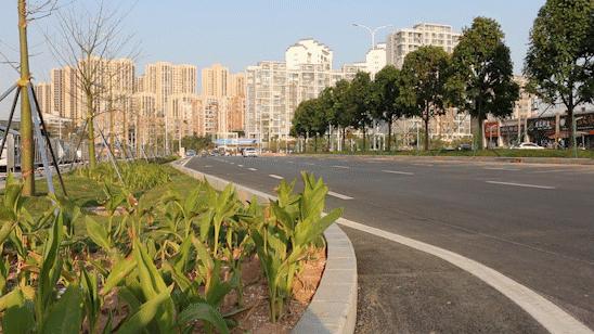 珠海湖心路和航空新城的房子,珠海湖心新城和航空新城哪个好