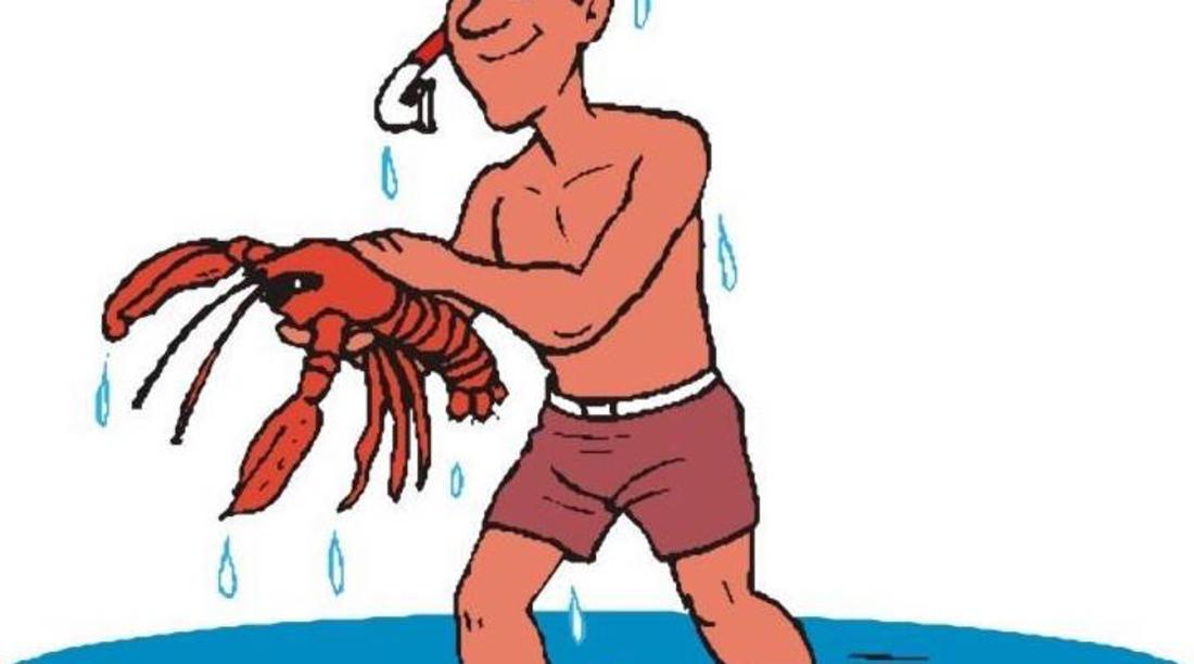 这些二次元黑话你能听懂多少？一份ACGN界的黑话四六级测试题