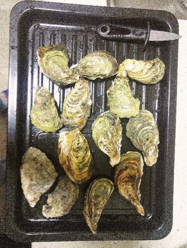 周末的生活，超幸福！为何如此简单？