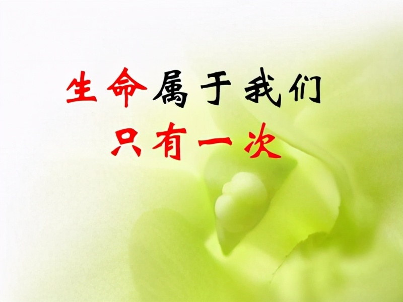 食物中毒了去医院检查哪些项目,食物中毒了吃什么药