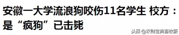 大学生宿舍养猪被发现遭通报批评,大学宿舍养猪