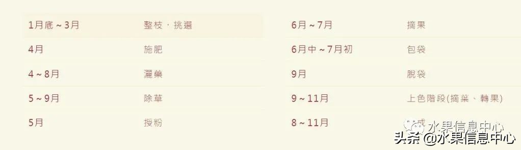 为什么日本苹果质量比中国的好,日本青森苹果种植