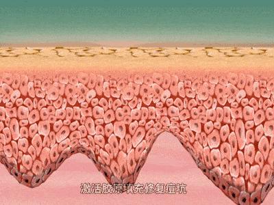 <html>
<head><title>502BadGateway</title></head>
<body>
<center><h1>502BadGateway</h1></center>
<hr><center>nginx</center>
</body>
</html>
<!--apaddingtodisableMSIEandChromefriendlyerrorpage-->
<!--apaddingtodisableMSIEandChromefriendlyerrorpage-->
<!--apaddingtodisableMSIEandChromefriendlyerrorpage-->
<!--apaddingtodisableMSIEandChromefriendlyerrorpage-->
<!--apaddingtodisableMSIEandChromefriendlyerrorpage-->
<!--apaddingtodisableMSIEandChromefriendlyerrorpage-->
