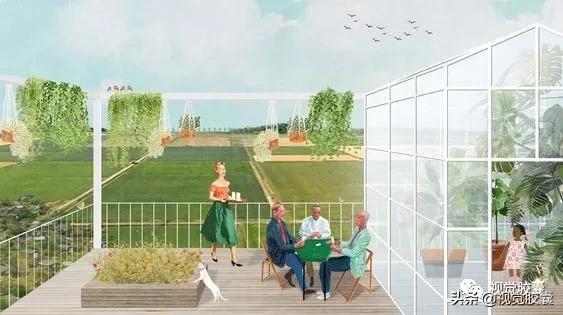 乡村蔬菜大棚的设计,蔬菜精美设计图片