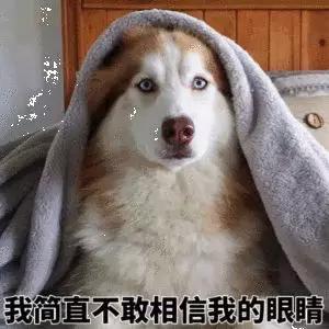 福州市贵族中学,福州高中三年的学费