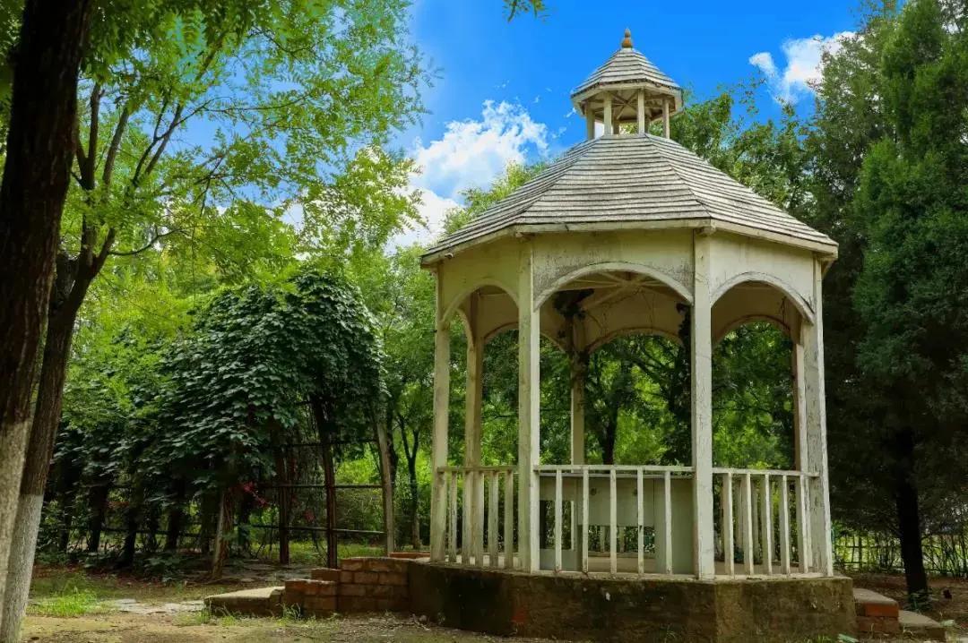 北京人少景美赏秋的公园,北京赏秋中山公园