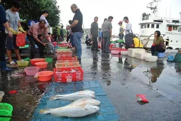 牛出天际！深圳人终于可以买岛，走向人生巅峰不是梦！